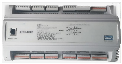 ERC-404D